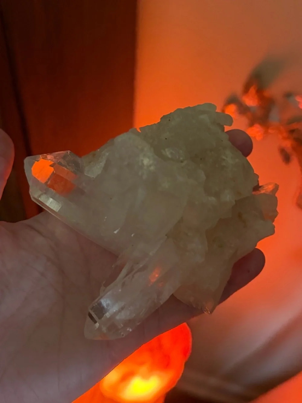🔥🔥🔥Local Find !!! Arkansas Natural Clear Quartz Cluster -❤️❤️❤️!!